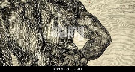 Hendrik Goltzius - Hercules Farnese - detail. Stock Photo