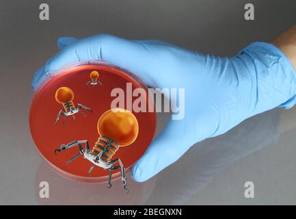 Medical nanorobots. Computer artwork of nanorobot insects breaking up ...