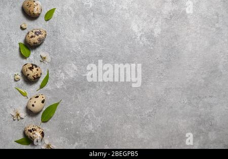 quail eggs pattern and green leaves on a gray background.  Stock Photo