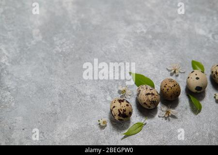 quail eggs pattern and green leaves on a gray background.  Stock Photo