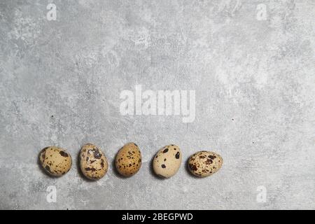 quail eggs pattern and green leaves on a gray background.  Stock Photo