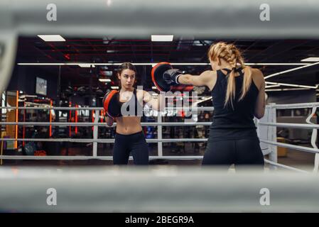Two women boxing on the ring, box workout Stock Photo