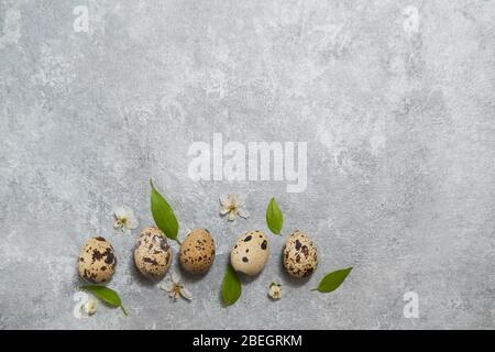 quail eggs pattern and green leaves on a gray background. easter composition Stock Photo