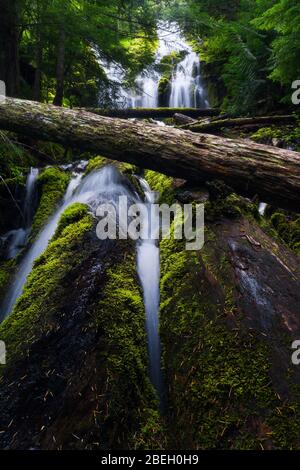 Landscape of Upper Proxy Waterfall in Oregon