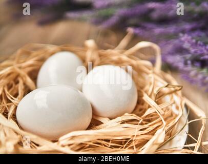 White Easter eggs in the nest. Happy Easter Concept. Congratulations Easter card. Stock Photo