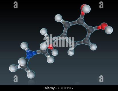 Epinephrine Molecular Model Stock Photo