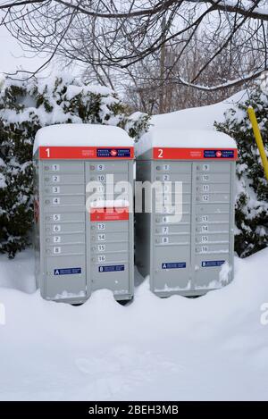 Canada Post communal mailbox after a snowfall. Stock Photo