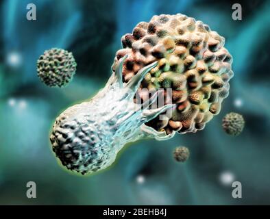 T-Cell attacking a cancer cell, Illustration Stock Photo