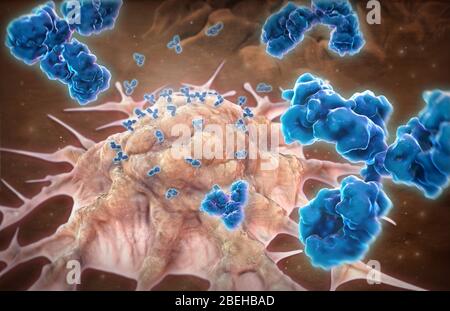 Monoclonal Antibodies, illustration Stock Photo