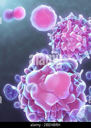 Cell Life Cycle Stock Photo
