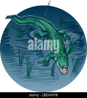 Vector cartoon clip art illustration of an alligator with an open mouth swimming or floating in swamp water with grass on a circle background Stock Vector