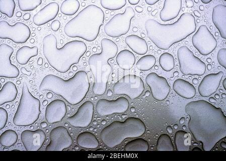 Water patterns on waxed car Stock Photo