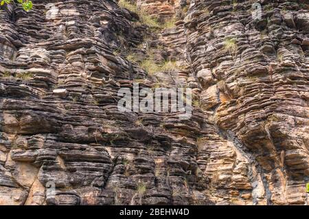 Old stone, rock texture with cracks, plant roots and layers with some green grass. Layered stone, sandstone or limestone natural texture background Stock Photo