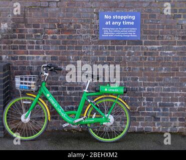 Lime bike against a wall with a sign saying No Parking Stock Photo