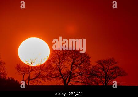 Schwerin, Germany. 14th Apr, 2020. The sun rises behind a group of trees at Schwerin Lake. Credit: Jens Büttner/dpa-Zentralbild/dpa/Alamy Live News Stock Photo