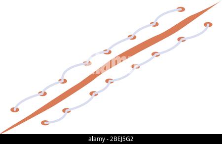 Laceration suture icon, isometric style Stock Vector
