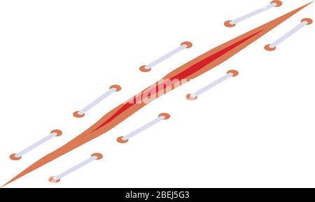 Scar suture icon, isometric style Stock Vector