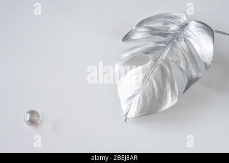 Shiny silver leaves of monstera on a white background. Trend design. Pastel Minimalism. Copy space Stock Photo