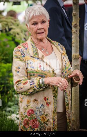 London, UK. May, 2019. Dame Judi Dench attends the Opening day of the 2019 Chelsea Flower Show. Stock Photo
