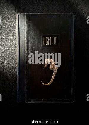 still life with a little seahorse on the cover of an agenda book note Stock Photo