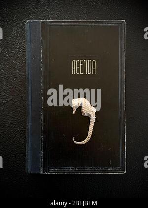 still life with a little seahorse on the cover of an agenda book note Stock Photo