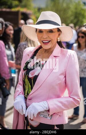 London, UK. May, 2019. Dame Joan Collins, attends the Opening day of the 2019 Chelsea Flower Show. Stock Photo