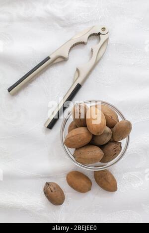some pecan nuts and nutcracker Stock Photo