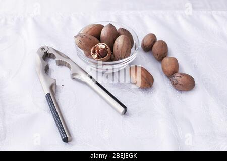 some pecan nuts and nutcracker Stock Photo
