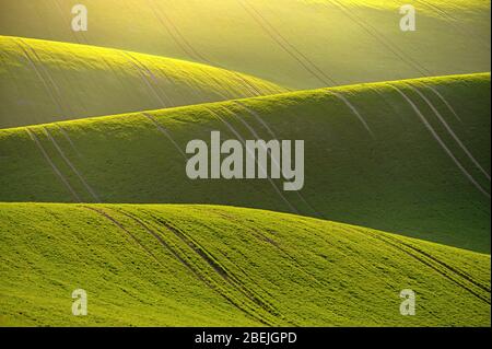 Beautiful spring landscape with field of grass hills at sunset. Waves in nature Moravian Tuscany - Czech Republic - Europe. Stock Photo
