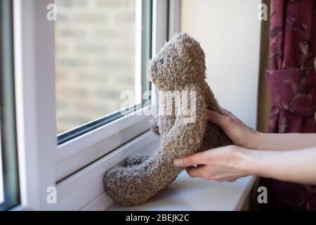 Woman Putting Teddy Bear In Window At Home For Bear Hunt Game During Coronavirus Pandemic To Entertain Children Stock Photo