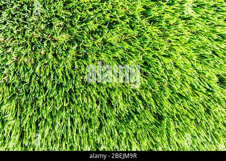 Artificial green grass or needles texture. Abstract backdrop for design. Stock Photo