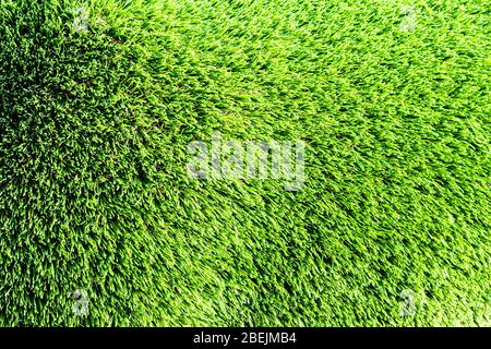 Artificial green grass or needles texture. Abstract background for design. Stock Photo