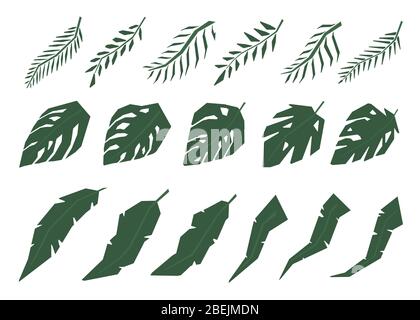 Collection of Tropical jungle leaves. Isolated on white background. View from above. Hand drawn vector illustration. Stock Vector