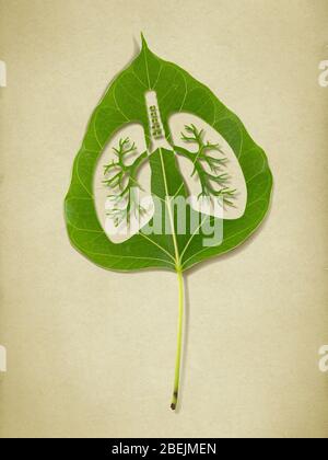 Image of lungl plant punched into green leaf, lungs silhouette, Save environment concept Stock Photo