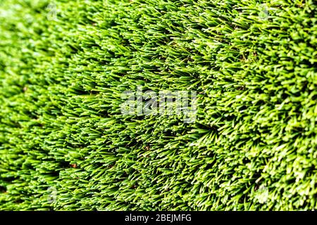 Artificial green grass or needles texture. Abstract background for design. Stock Photo