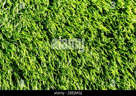 Artificial green grass or needles texture. Abstract backdrop for design. Stock Photo