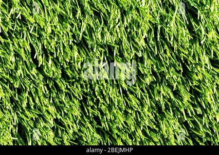 Artificial green grass or needles texture. Abstract background for design. Stock Photo