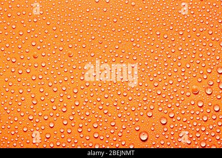 Macro water drops texture on a orange background. Abstract pattern or blank for design. Stock Photo