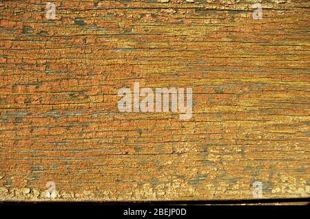 Old paint surface, texture, vintage background, painted wood.Retro Stock Photo
