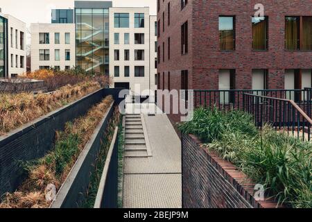Different stairs in a modern urban area with residential apartments - grass, concrete, tile, steel. Toned. Stock Photo