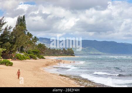 Hawaii, USA. Oahu:  Laniakea Beach Stock Photo