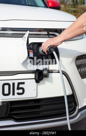 New electric car Kia E Soul march 2020 electric car charging at a public electric car charger. plugging an electric car in to charge at a car charger Stock Photo