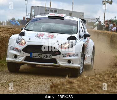 Race2Recovery, Ford Fiesta R5, Forest Rally Stage, Goodwood Festival of Speed, 2017, Peaks of Performance, Motorsports Game Changers,  automobiles, ca Stock Photo