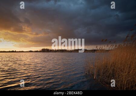 Dark clouds lit by the sun on a lake with reeds, evening view Stock Photo