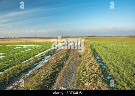 A dirt road through green fields and clouds on a blue sky, snow remains on the field Stock Photo