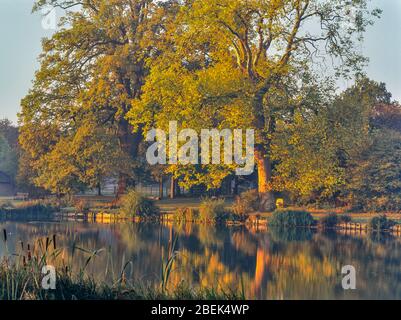 The lake at Hatfield Forest, Essex, England, UK Stock Photo