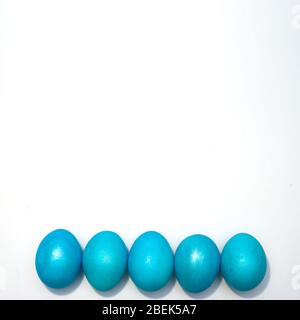Many colored blue easter chicken eggs isolated on the white background. Space for text. Stock Photo