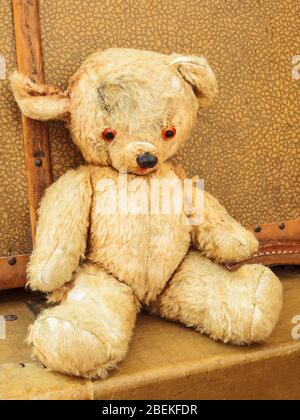 Vintage weathered teddy bear with old suitcases Stock Photo