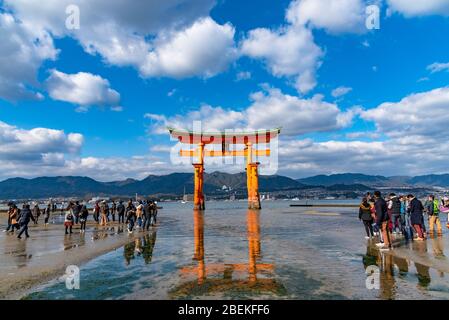 Floating red giant Grand O-Torii gate stands in Miyajima island bay beach at low tide on sunny day. New Year Hatsumode in Itsukushima Shrine Stock Photo