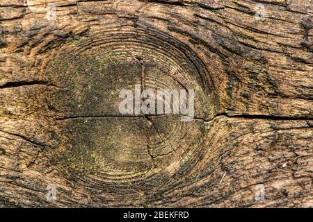 old oak wooden lintel Stock Photo